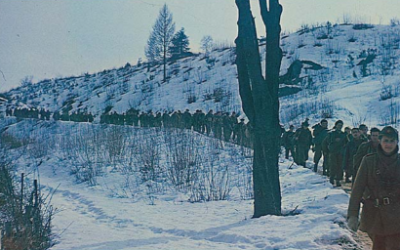 Resistenza. La guerra partigiana in Italia (1943-1945), F. Focardi e S. Peli (a cura di), Carocci, Roma 2025