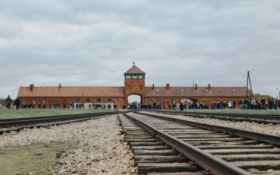 Pericoli e limiti dei ddl sull’antisemitismo