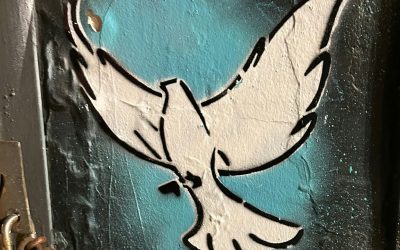 Nella difficile ricerca della pace: Vangelo o ragione?