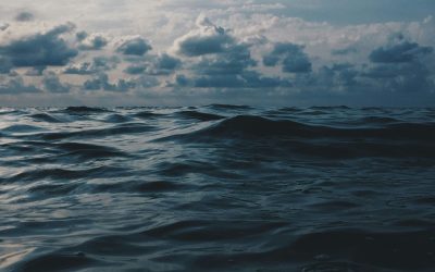 L’abisso dei naufraghi: il Mediterraneo non dimentica