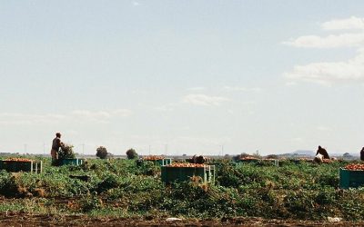 Caporalato, una battaglia di civiltà che non può fermarsi